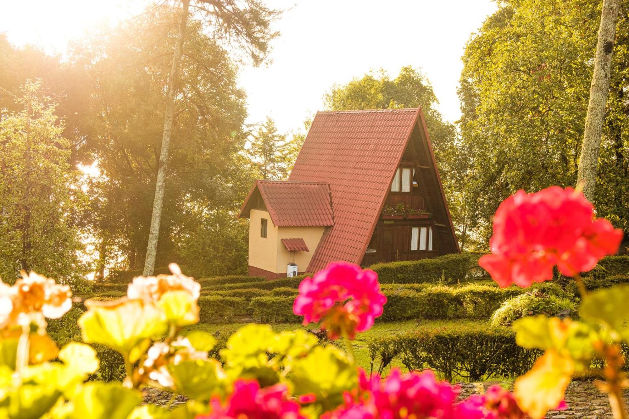 Zirahuen Forest And Resort Dış mekan fotoğraf