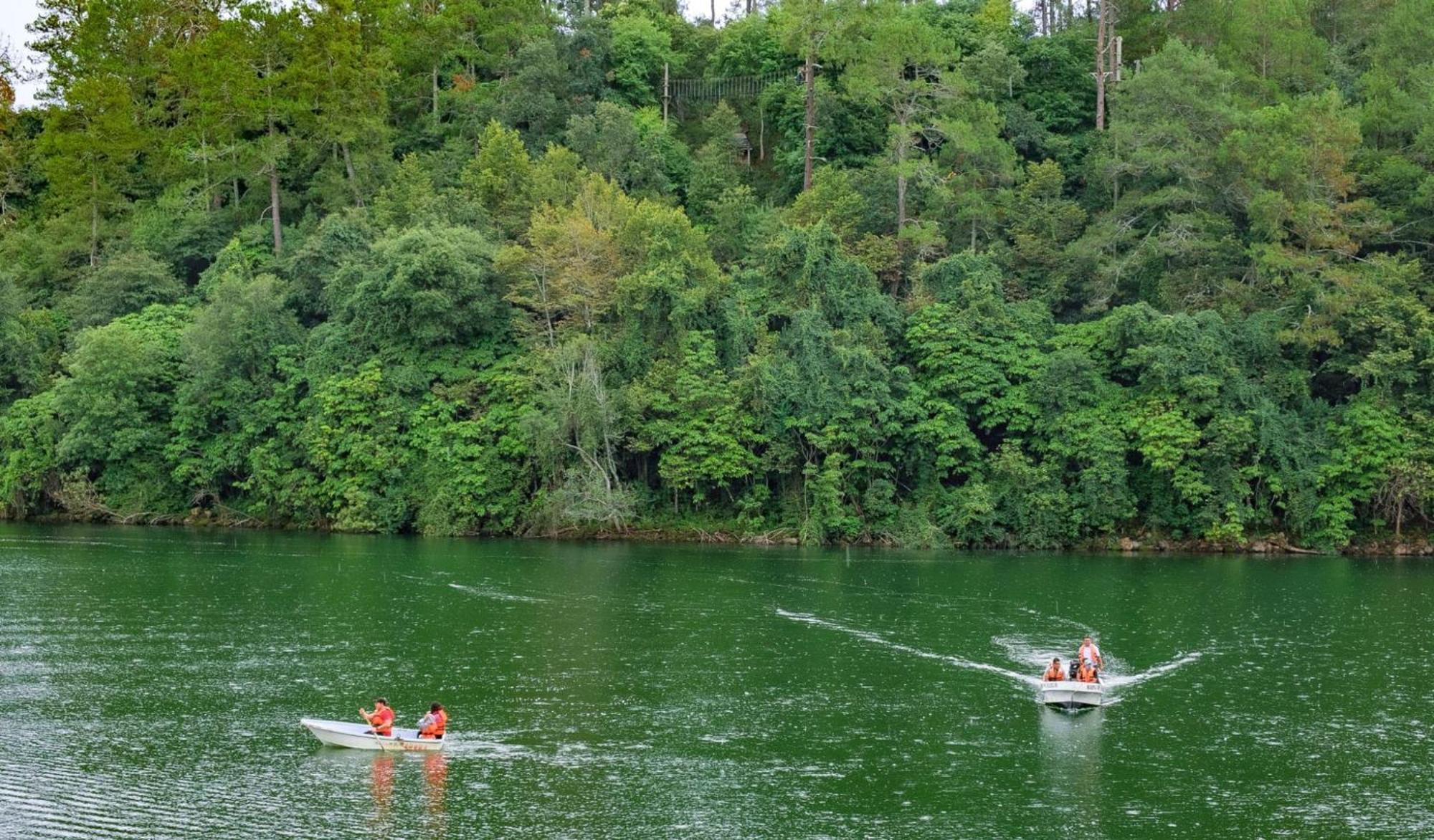 Zirahuen Forest And Resort Dış mekan fotoğraf