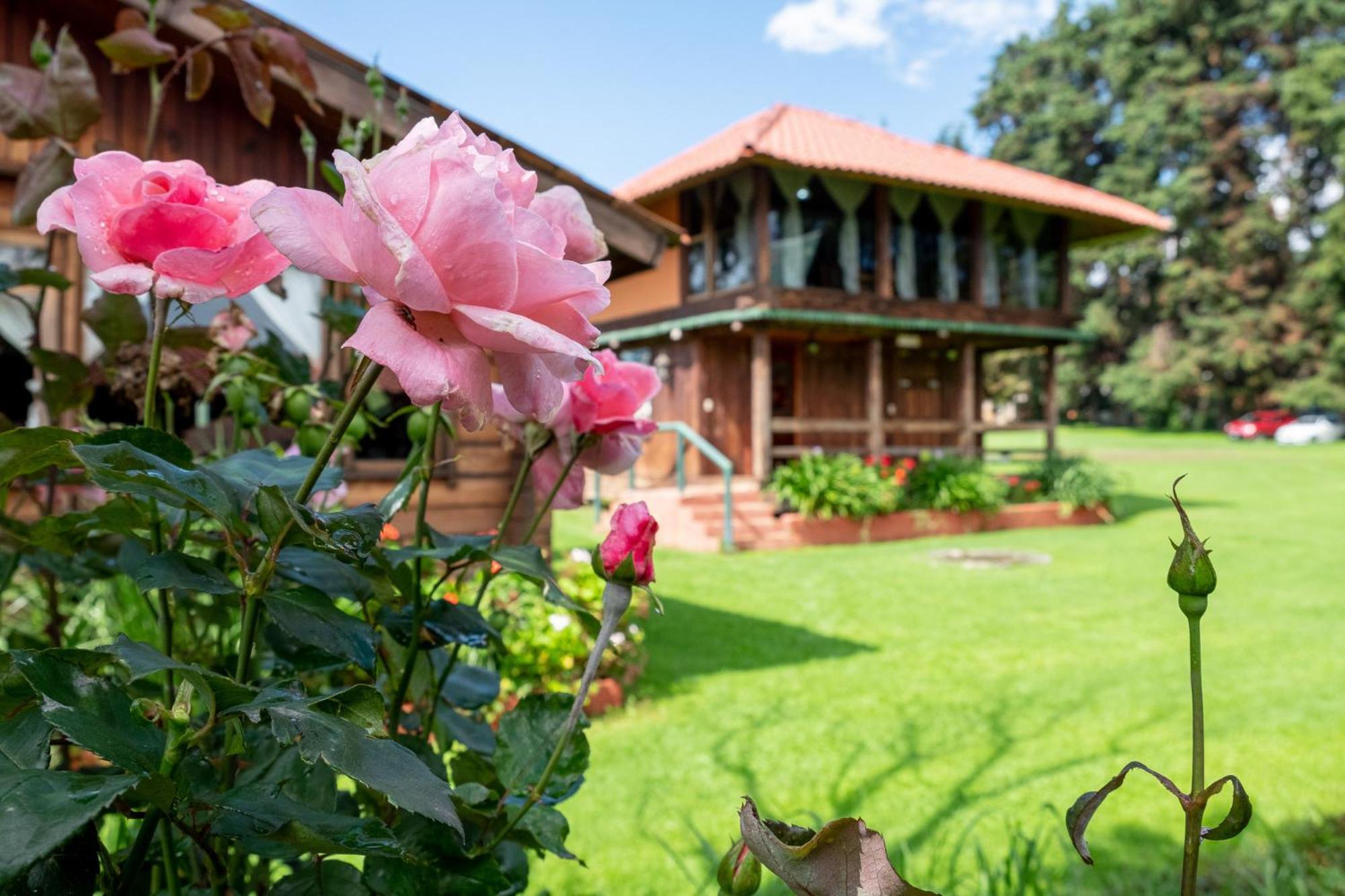 Zirahuen Forest And Resort Dış mekan fotoğraf